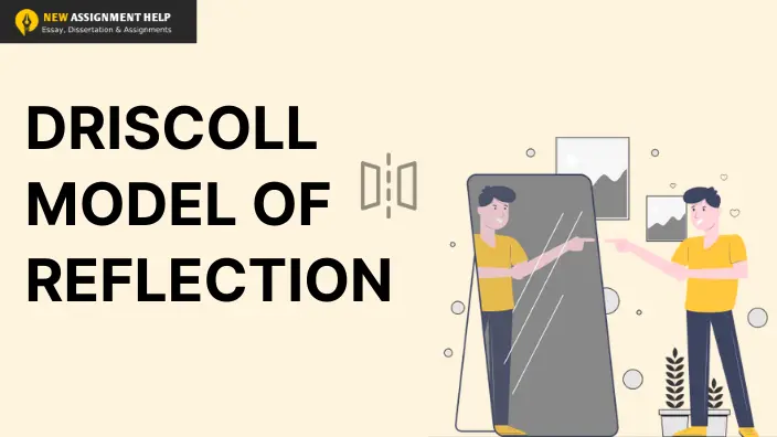 Driscoll Model of Reflection